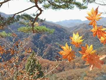 林芝地区市科学技术局最新项目