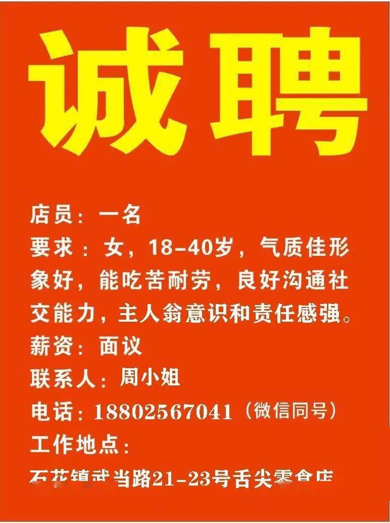 文县小学最新招聘信息及相关内容深度解析