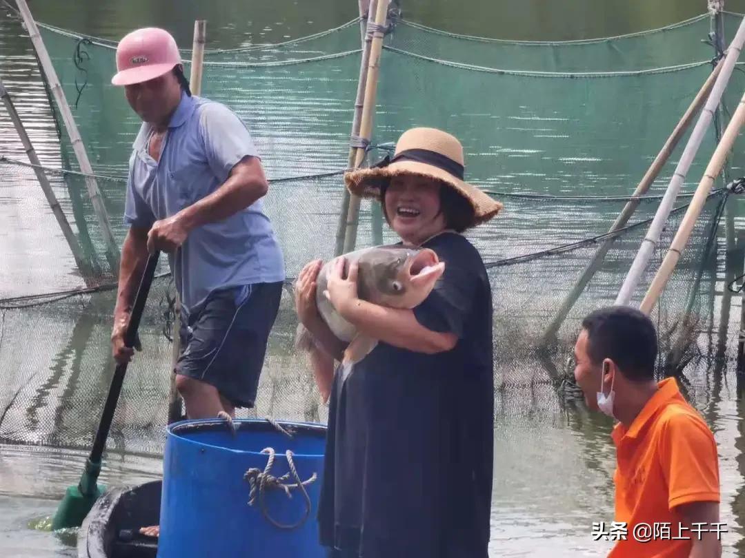 福兴地镇发展规划揭秘，塑造未来繁荣蓝图