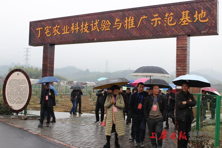 丁宅乡最新天气预报