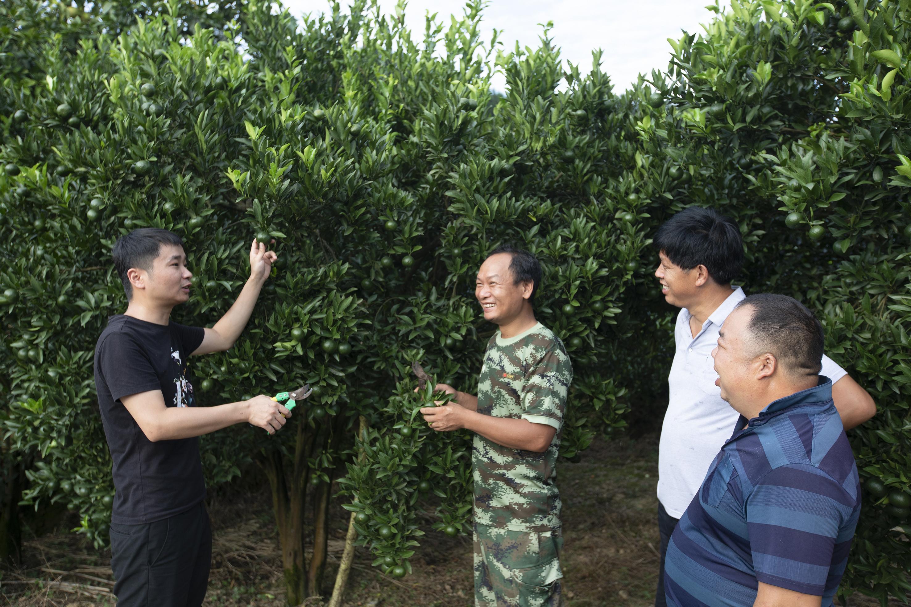 锁南镇最新新闻动态报道