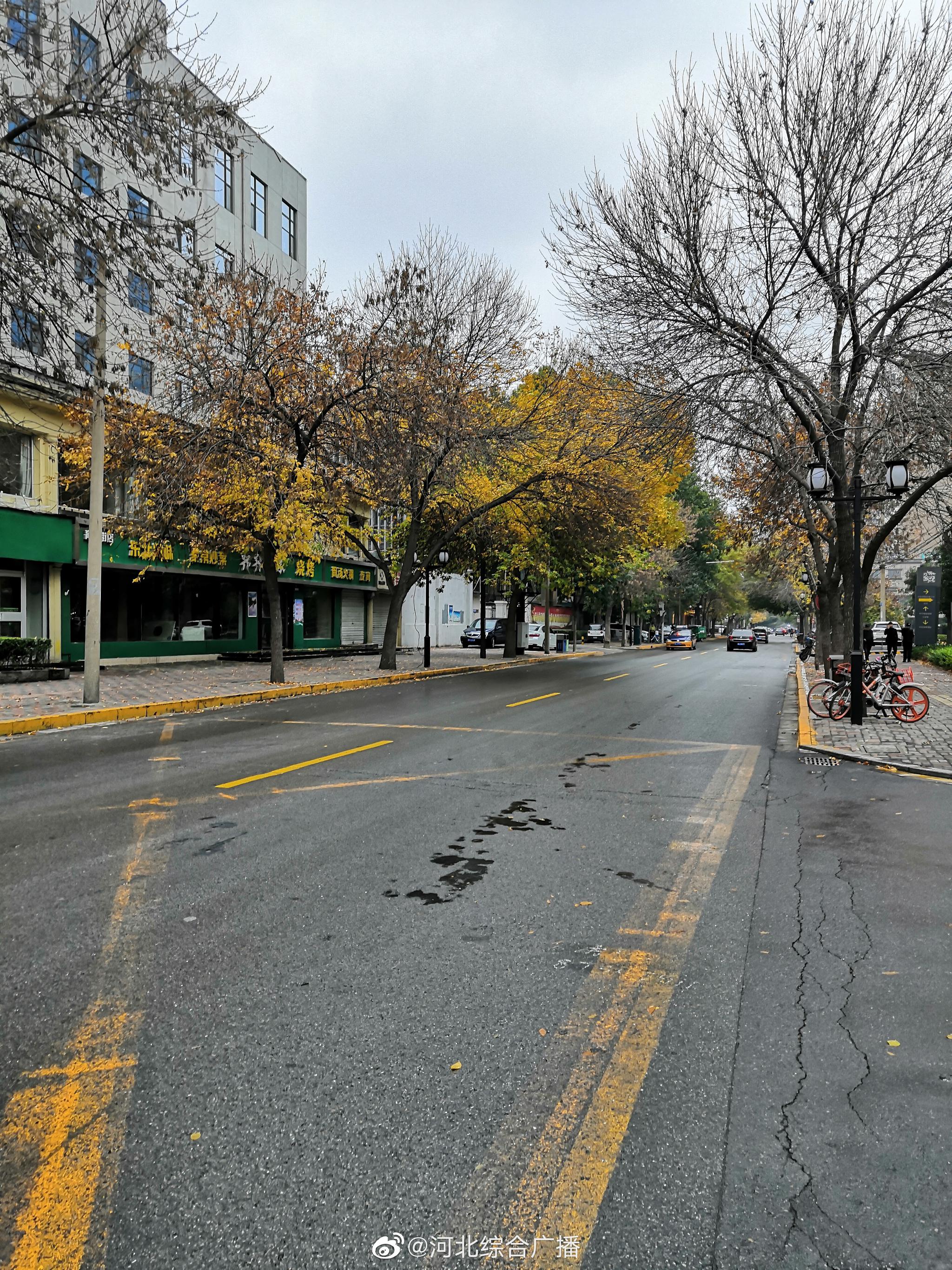 马路街街道天气预报最新详解