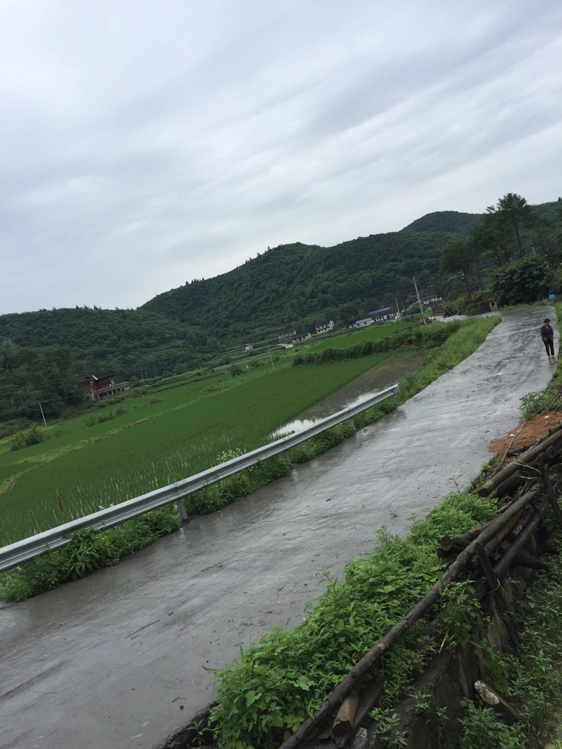 玉山村委会最新天气预报