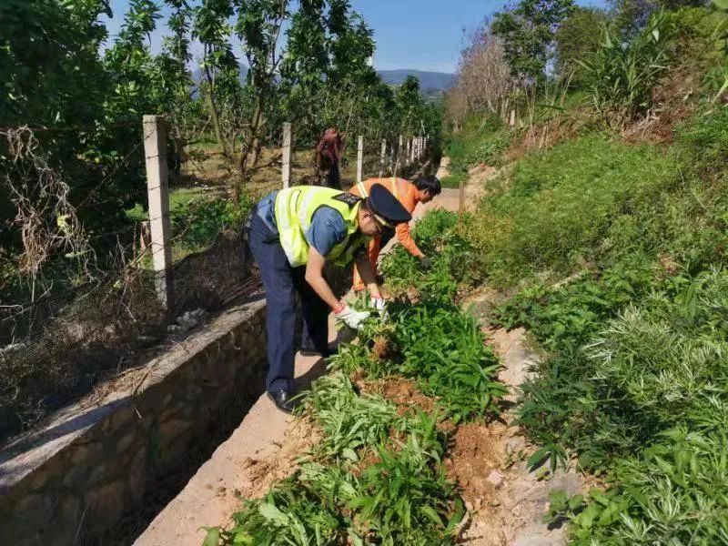 高庄村民委员会最新交通动态报道