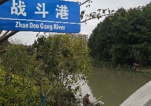 红旗种畜场天气预报与应对建议