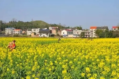 渡头塘乡天气预报更新通知