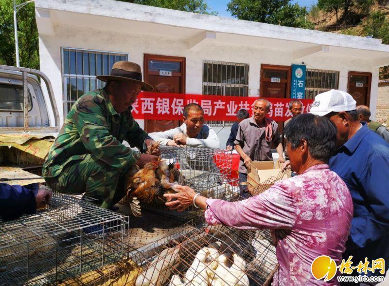 佳县交通运输局最新项目，推动县域交通发展迈向新高度