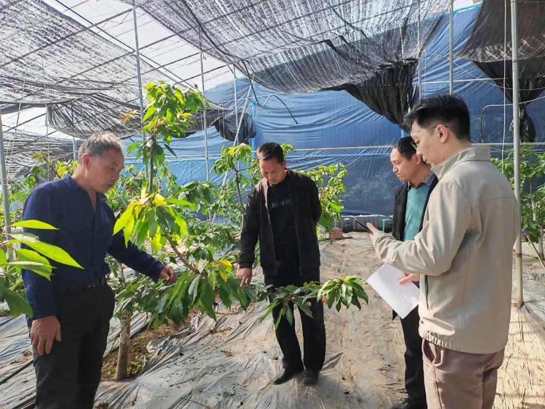 大连华侨果树农场新领导团队引领迈向发展新高地