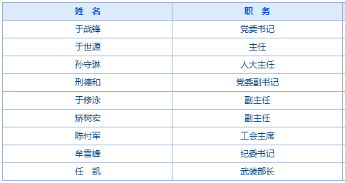 龙街最新人事任命动态