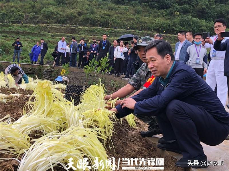 普定县退役军人事务局最新领导介绍